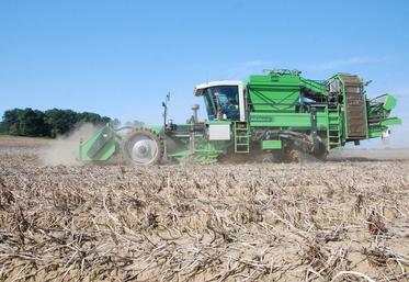 arrachages pommes de terre qualité Arvalis