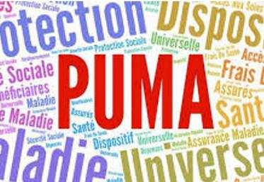 La Puma peut être synonyme de cotisations à l’Urssaf, en fonction des revenus professionnels et des revenus du patrimoine.