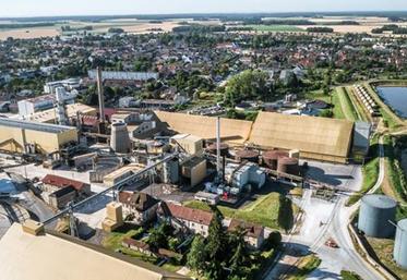 Lesaffre Frères Nangis sucrerie Cristal Union autorité de la concurrence
