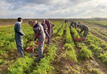 Glanage solidaire par la MFR d’Haussy (59). 