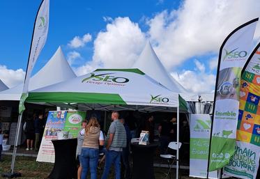 Yséo distribution fournitures aliment pour élevage 