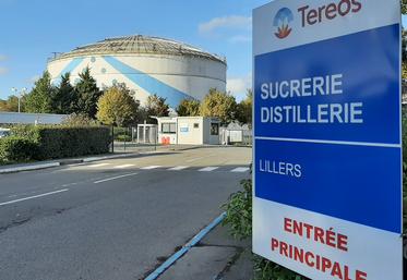 Tereos réduction de la durée de l'engagement coopératif