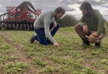L’agronomie commence par l’observation de l’agriculteur. Lors des semis,  le bon positionnement de la graine est primordial. 