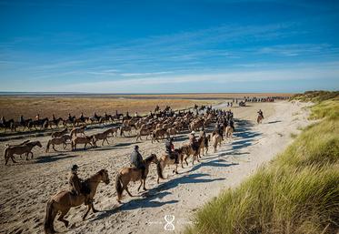 Chaque année, la Trans’Henson est un spectacle incroyable. 