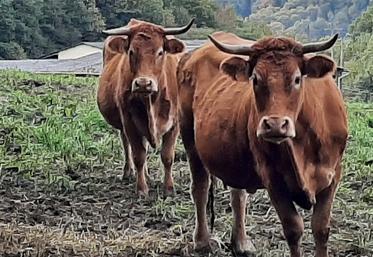 DNC mouvements et rassemblements interdits