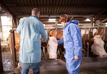 Annie Genevard annonce la reprise des exportations de bovins sous conditions à partir du 1er novembre.