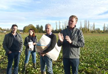 Courpalay, mardi 4 novembre. De g. à d., Cyrille Milard, Milène Grapperon, Jean-Philippe Garnot et Fabien Hamot  dans une parcelle présentant des ronds de jaunisse malgré différentes interventions.