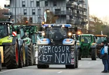 FNSEA s'oppose au traité de libre-échange entre l'UE et les pays du Mercosur après la déclaration d'Emmanuel Macron au Brésil