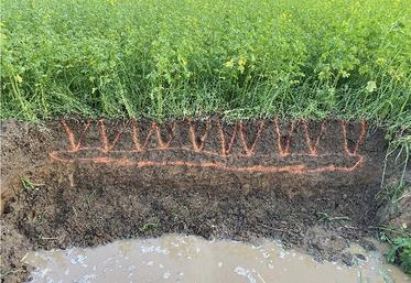 Couvert dans la modalité fissurée après semis.