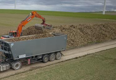 Tereos prix de betteraves campagne 2025-2026