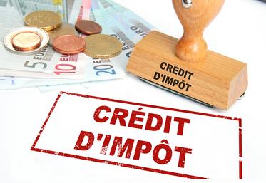 Les exploitants peuvent bénéficier de crédits d’impôts liés à leur activité professionnelle.