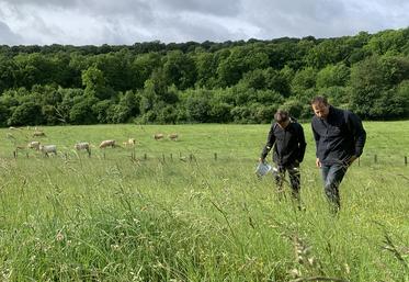 Les éleveurs du PMAZH bénéficient d’un accompagnement technique, notamment sur la gestion du pâturage. 