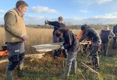 Les élèves s’affairent sous l’œil de Camille Hecquet, du Conservatoire d’espaces naturels. 