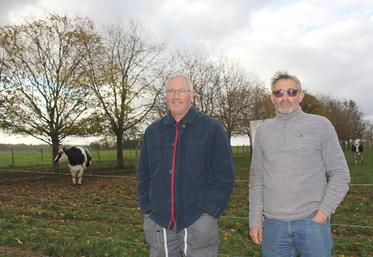 Michel et Laurent Delaleau ont simplifié leur système d’élevage.
