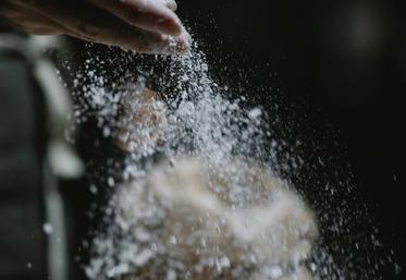 emploi boulangerie meunerie