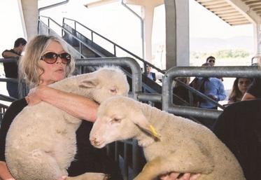 disparition de Brigitte Bardot