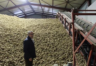 Le nouveau bâtiment ventilé assure le stockage des pommes de terre achetées  par McCain.