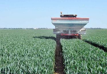 Selon Arvalis, 40 unités d’azote apportées à dernière feuille, c’est 4 à 6 quintaux  et 0,6 % de protéines en plus. 