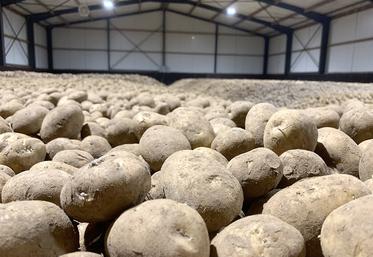 Le stockage pourrait être difficile à maîtriser pour certains lots. 