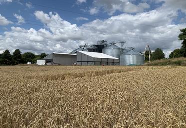 Le silo de Flesselles a bénéficié d’un investissement conséquent. Il a désormais une capacité de 11 500 t. 