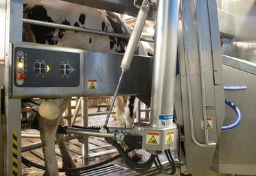 Avenir conseil élevage anime plusieurs groupes d’éleveurs, équipés de robot ou non, qui visent des performances élevées tout en maîtrisant les coûts de production. 