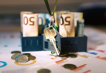 La loi de finances revenue à la case départ, les sénateurs la discutent actuellement, mais toujours sans savoir si les mesures envisagées seront applicables ou non.