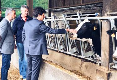 Quatre ministres de l'Agriculture défendent la stratégie du gouvernement contre la DNC.