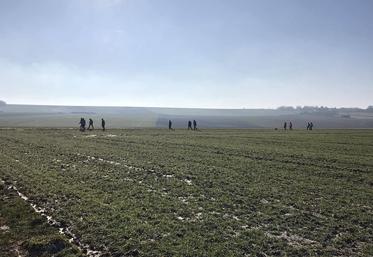 Flers-sur-Noye plantation haies