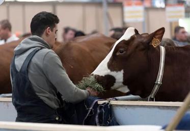 SIA sans animaux mais avec des éleveurs