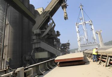 Le blé et le maïs s’accumulent dans les silos alors que les prix jouent au yoyo. 