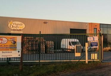 foyer influenza aviaire Warhem Nord poules pondeuses