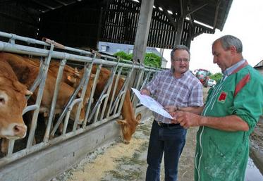 tuberculose bovine santé animale