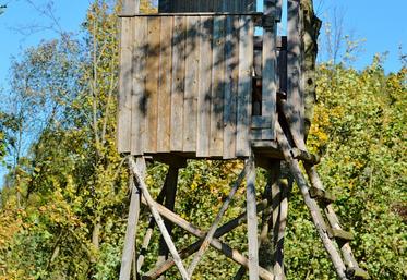 chasse en Allemagne et record du nombre de chasseurs 