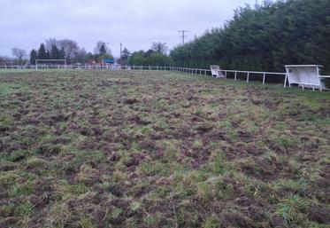 terrain de football sanglier dégâts Voyennes 