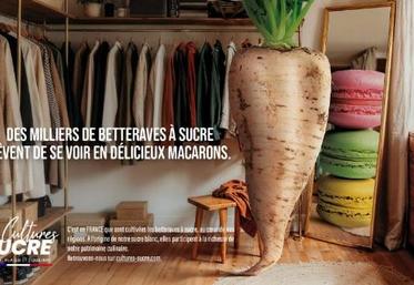 Culture Sucre et campagne de pub pour la betterave à sucre