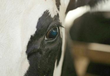 Les scientifiques considèrent que la stratégie de dépeuplement ne peut pour l’instant pas être revue. 