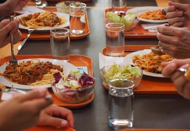 poulet ukrainien et viande du Mercosur dans les cantines