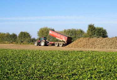 régime de perfectionnement actif