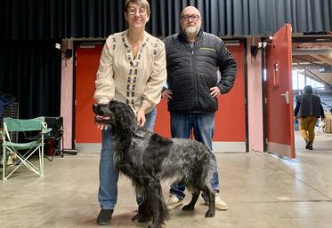 Cécile et Jérôme Malbaut présenteront notamment leur star Sequela-Jim  du Clos Maldav au Sia. 