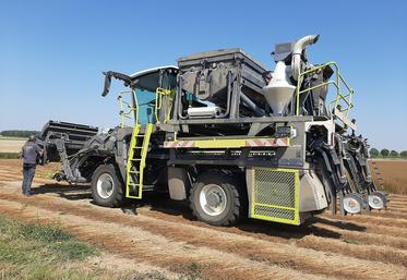 L’un des leviers pour se rapprocher de l’autonomie en semences est la diversification du matériel de récolte.  La Calira investit dans cette nouvelle arracheuse-stripper d’Hyler.