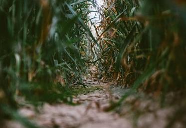 Bio en Hauts-de-France