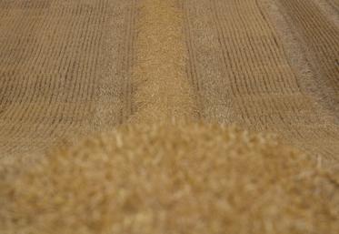 aide conjoncturelle céréales 