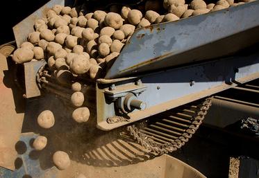 Au-delà des volumes, le niveau de prix inquiète les producteurs. 