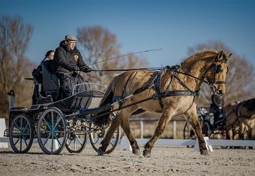 Gaylord Franqueville et Harley de Henson défendront les couleurs  de la Baie de Somme lors du concours des chevaux des territoires. 