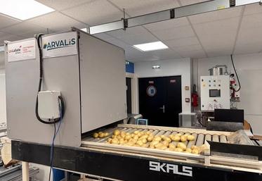 Le prototype créé par les étudiants d’UniLasalle Amiens permet de compter  et trier sans intervention humaine les tubercules de pommes de terre.