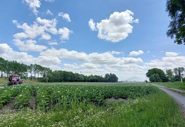 Le labour, l'irrigation ou les rotations culturales seront à revoir en fonction de l'adaptation au changement climatique. 