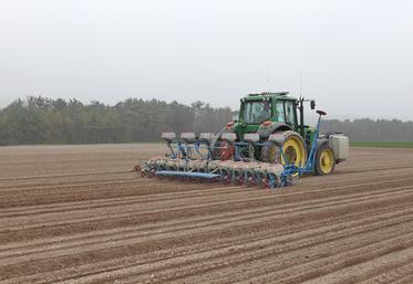La date de levée (et non de semis) conditionne le potentiel de rendement : l’idéal est que toutes les betteraves soient levées pour la fin mars. 