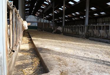 Grâce à son bâtiment fonctionnel, Christophe Baudrin, cite en exemple, le gain de temps lors de la vaccination. «Nous avons fait la première injection sur 120 veaux pour la FCO 4-8 - 3 et MHE en 2 h à trois personnes».