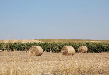 guerre Etats-Unis Iran Espagne mesures engrais carburant