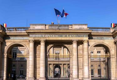 Conseil d'Etat loi d'orientation